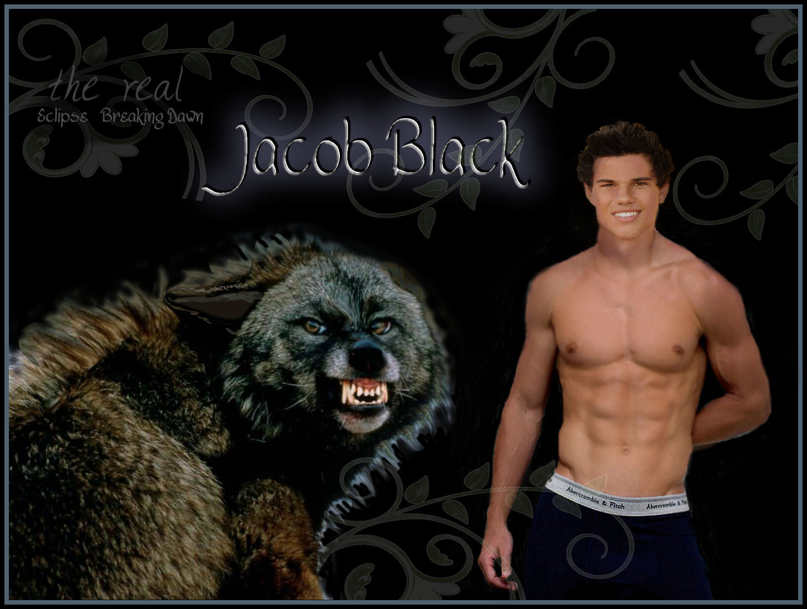 Jacob-Black-twilight-series-3497600-1636-1236
