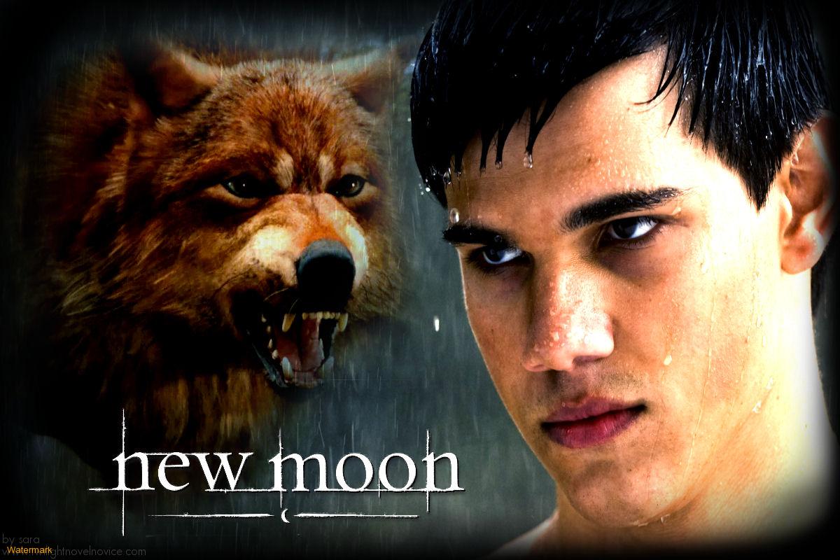 Jacob-Black-Wolf-1